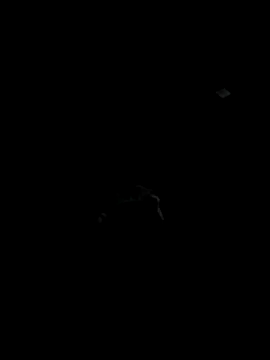 Snapshot of Codybugs0206 chatting on 22, 11, 2025 Codybugs0206 online show from 22, 11, 2025