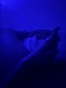 bigbola304 online show from 12, 11, 2025