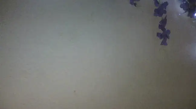 xxsexycutexxx online show from 18, 2, 2025