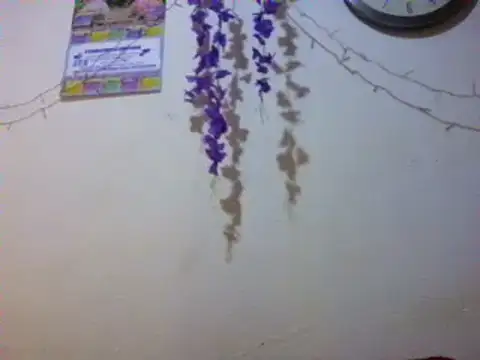 xxsexycutexxx online show from 3, 3, 2025