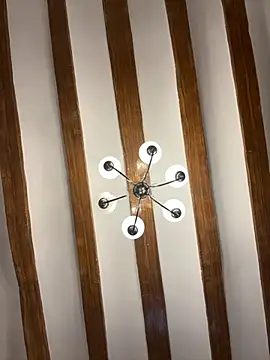 laarti online show from 19, 11, 2025