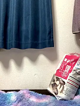 Snapshot of PINO_pino_01 chatting on 24, 11, 2025 PINO pino 01 online show from 24, 11, 2025