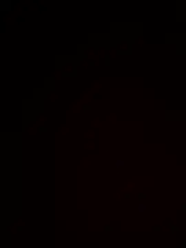 Lincolndraft online show from 20, 4, 2026