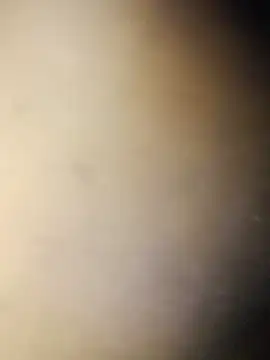 Crowlers online show from 16, 3, 2025