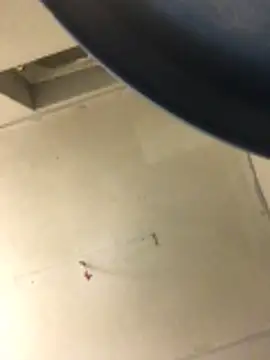 cumcum94 online show from 17, 2, 2026