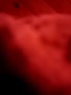 Arabian online show from 11, 2, 2025