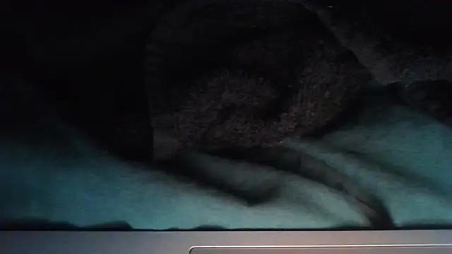 Snapshot of sheiku chatting on 11, 10, 2025 sheiku online show from 11, 10, 2025