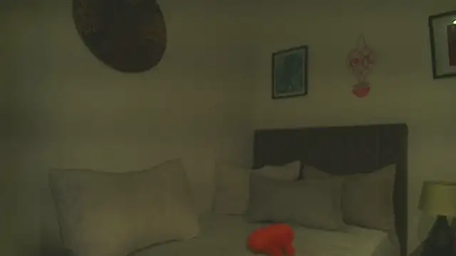 Dhalila  online show from 23, 2, 2026