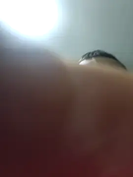 Pildorito19 online show from 18, 3, 2026