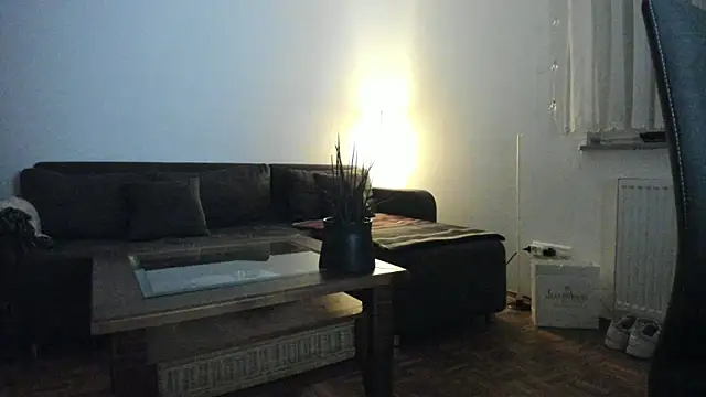 molicaremolicare online show from 28, 10, 2025