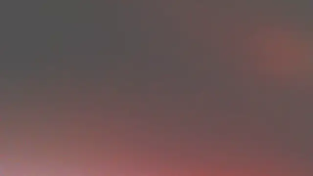 Sweetieanalxxx online show from 12, 5, 2026