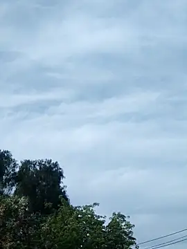 erinadarling79 online show from 16, 10, 2025