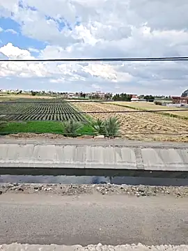 Loly2025 online show from 7, 4, 2026