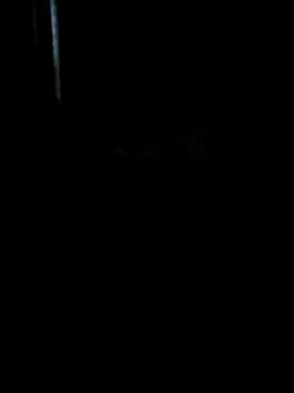 Snapshot of Ruanie chatting on 13, 4, 2026 Ruanie online show from 13, 4, 2026