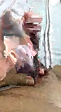 desi pb02 online show from 10, 11, 2025