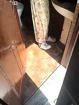 HorNy Bro Sis online show from 2, 3, 2026