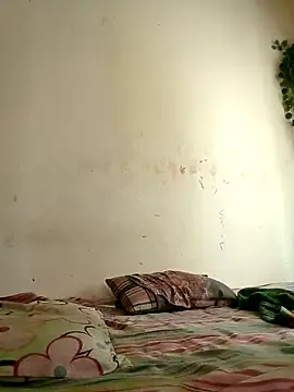 Rafi boy online show from 10, 4, 2026