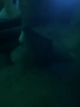 Liam Canales online show from 21, 4, 2026