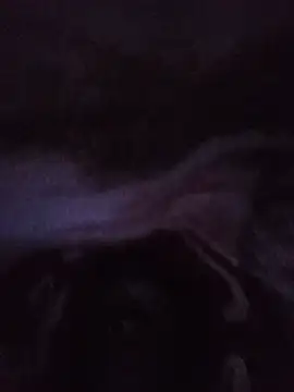 Snapshot of lilpip chatting on 5, 7, 2026 lilpip online show from 5, 7, 2026