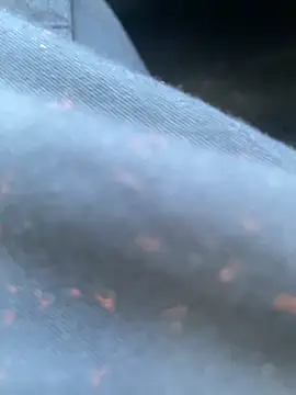 daniel21p online show from 22, 2, 2025