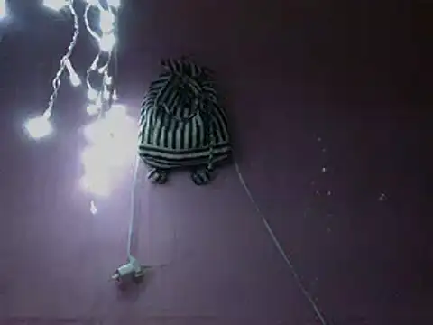 Ladyzee25 online show from 7, 4, 2026