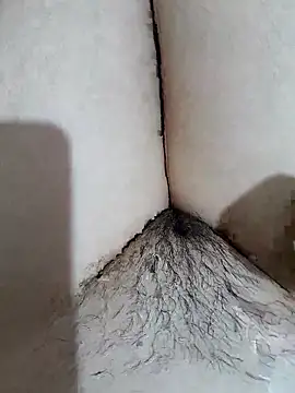 yakot7 online show from 19, 4, 2026