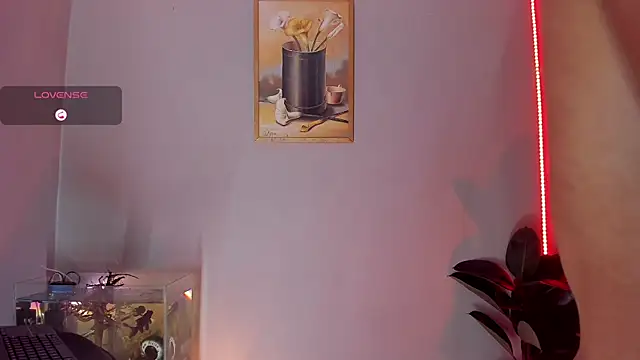 CRAZY-BOY99 online show from 31, 10, 2025