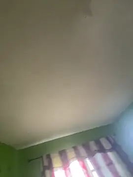 DialysedLunge online show from 5, 3, 2025