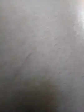 Sandra42 online show from 4, 4, 2026