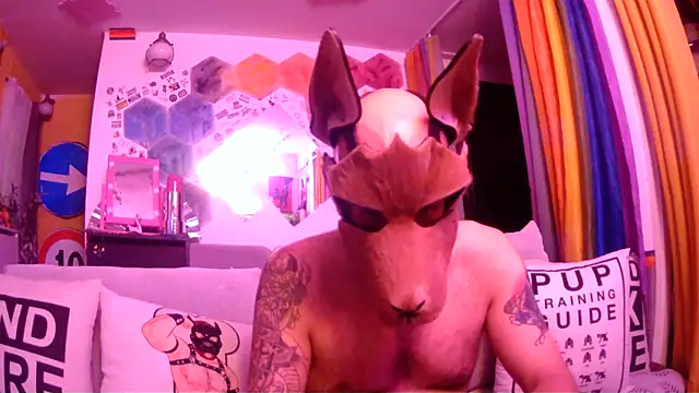danix wild wolf online show from 31, 5, 2026