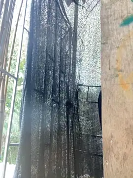 val zx online show from 27, 3, 2026