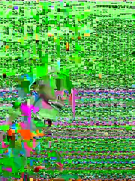 Snapshot of HenriquePhn chatting on 6, 2, 2026 HenriquePhn online show from 6, 2, 2026