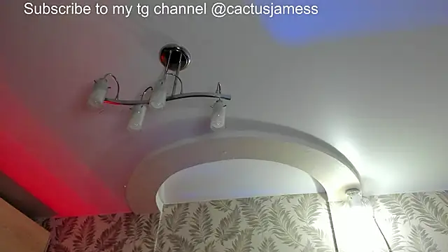 Snapshot of Cactus__James chatting on 21, 2, 2026 Cactus James online show from 21, 2, 2026