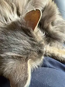 Max 965 online show from 30, 3, 2026