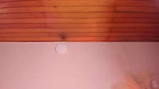 Snapshot of viol_collins__ chatting on 22, 3, 2025 viol collins online show from 22, 3, 2025