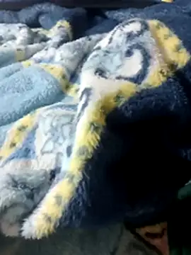 luuiss12 online show from 13, 1, 2026