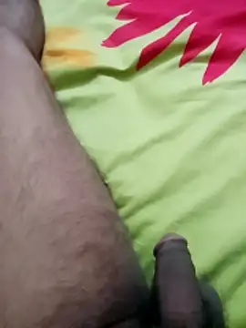 zim200 online show from 22, 11, 2025