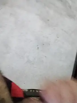 salimbasha online show from 19, 4, 2026