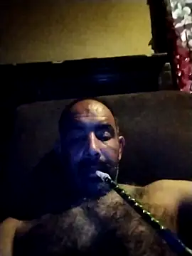 salimbasha online show from 29, 5, 2026