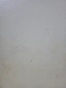 titooritax online show from 16, 10, 2025