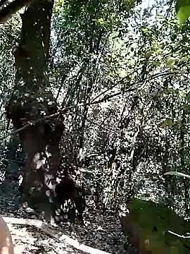 KalendaXL online show from 20, 4, 2026