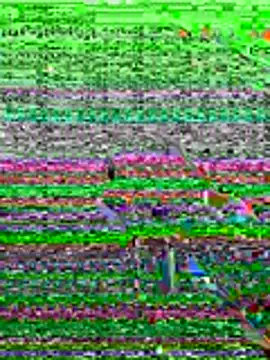 kamo012000 online show from 19, 6, 2026