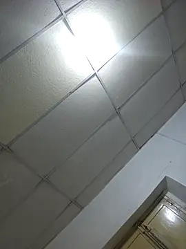 sexyboy fox online show from 28, 4, 2026