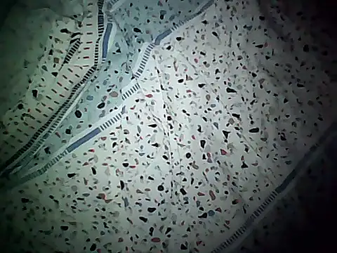 20cmloiro online show from 8, 11, 2025