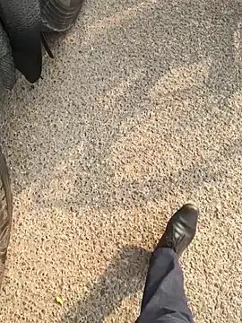 mysticeyes backup online show from 15, 11, 2025