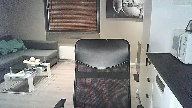 Dartanjanas13 online show from 8, 9, 2025