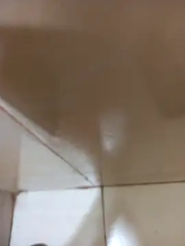 Snapshot of vboli08 chatting on 24, 10, 2025 vboli08 online show from 24, 10, 2025