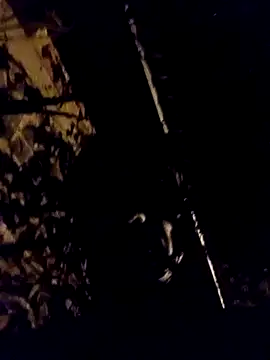 Ridick2025 online show from 11, 4, 2026