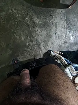 RitkKaala online show from 31, 1, 2026