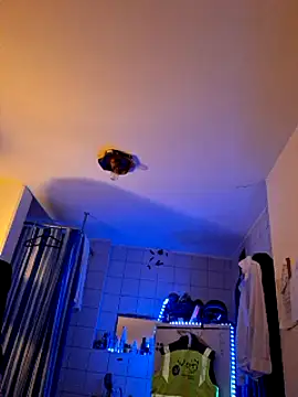 a7ex online show from 15, 12, 2024